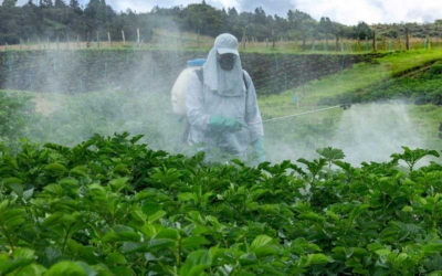 خدمات جامع فروشگاه کشاورزی خدابنده لو تهران