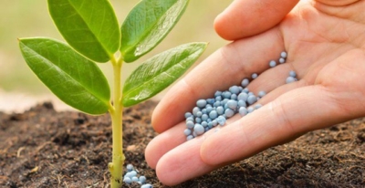 تأمین مطمئن بذر کود و سموم در فروشگاه کشاورزی خدابنده لو تهران